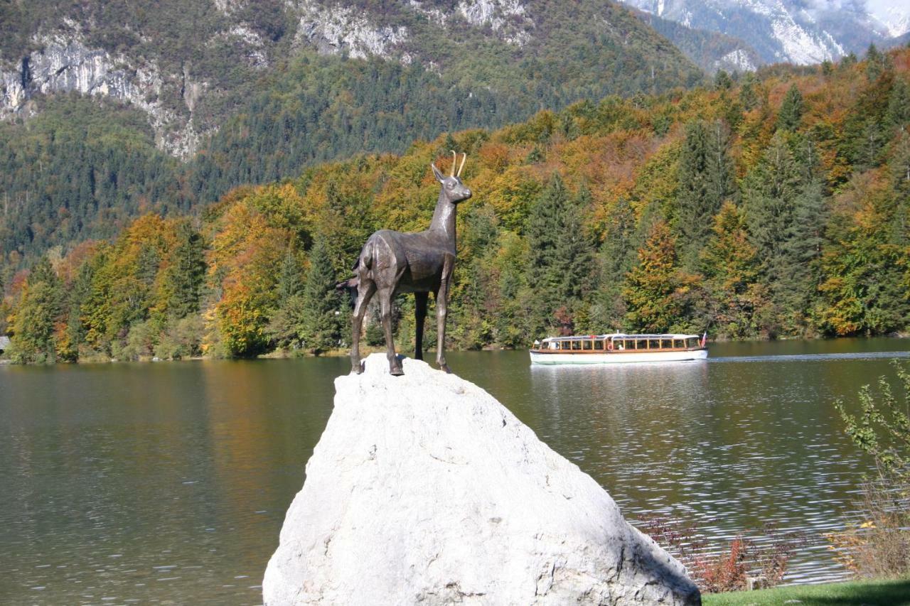 Apartment Ravnik Brod 13 Bohinj Esterno foto