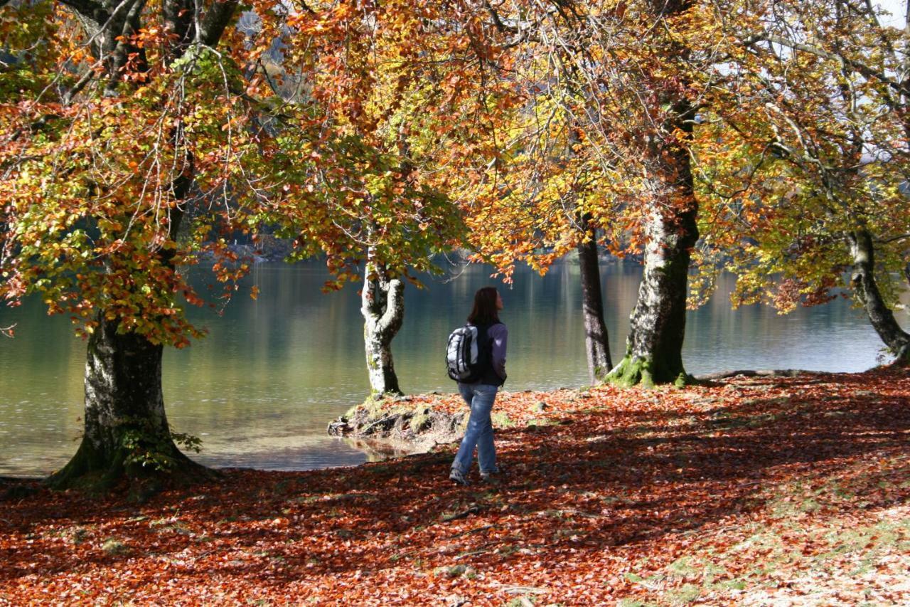 Apartment Ravnik Brod 13 Bohinj Esterno foto